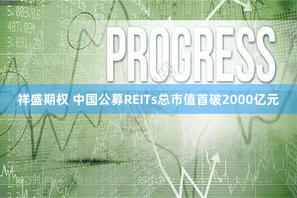 祥盛期权 中国公募REITs总市值首破2000亿元