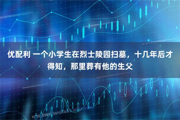 优配利 一个小学生在烈士陵园扫墓，十几年后才得知，那里葬有他的生父